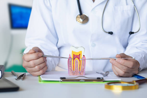 Best Knocked-Out Tooth (Avulsed Tooth) Treatment in Nocona, TX
